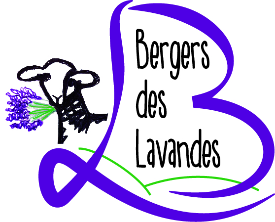 BERGERS DES LAVANDES